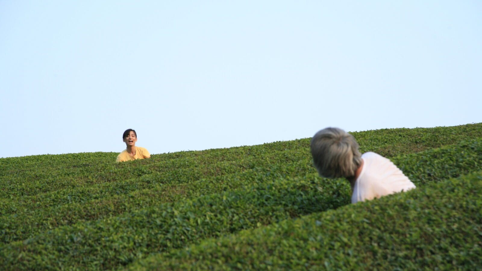 Naomi Kawase’s next film is about “human evaporation” A Rabbit's Foot